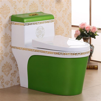 Floating Toilet